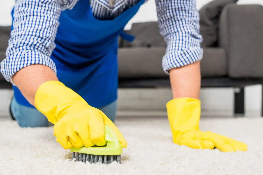 Produtos para Limpar Carpetes