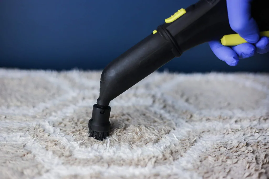Produtos para Limpar Carpetes