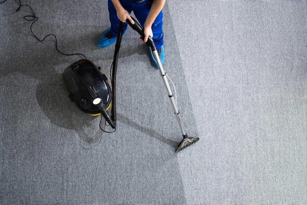 Produtos para Limpar Carpetes
