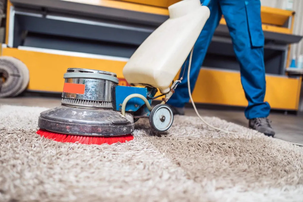 Produtos para Limpar Carpetes