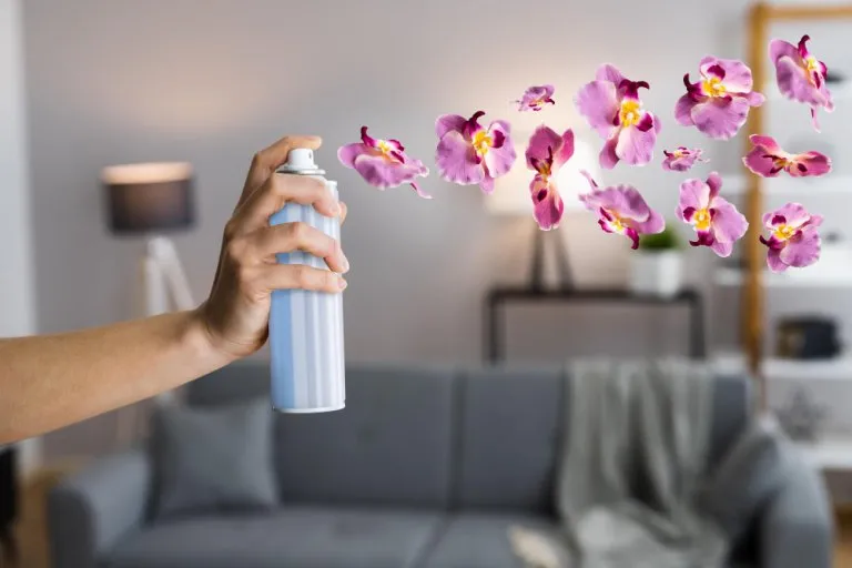 Cheiro de ambiente